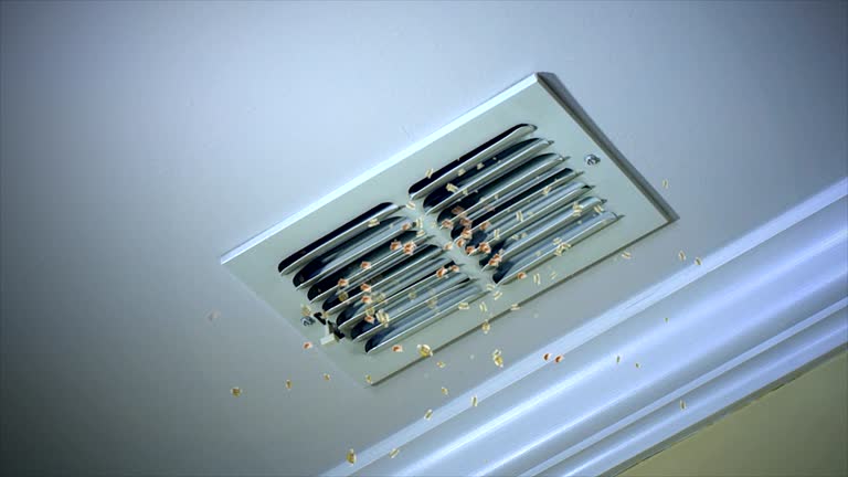 Best Affordable Duct Cleaning Services  in Cedarhurst, NY